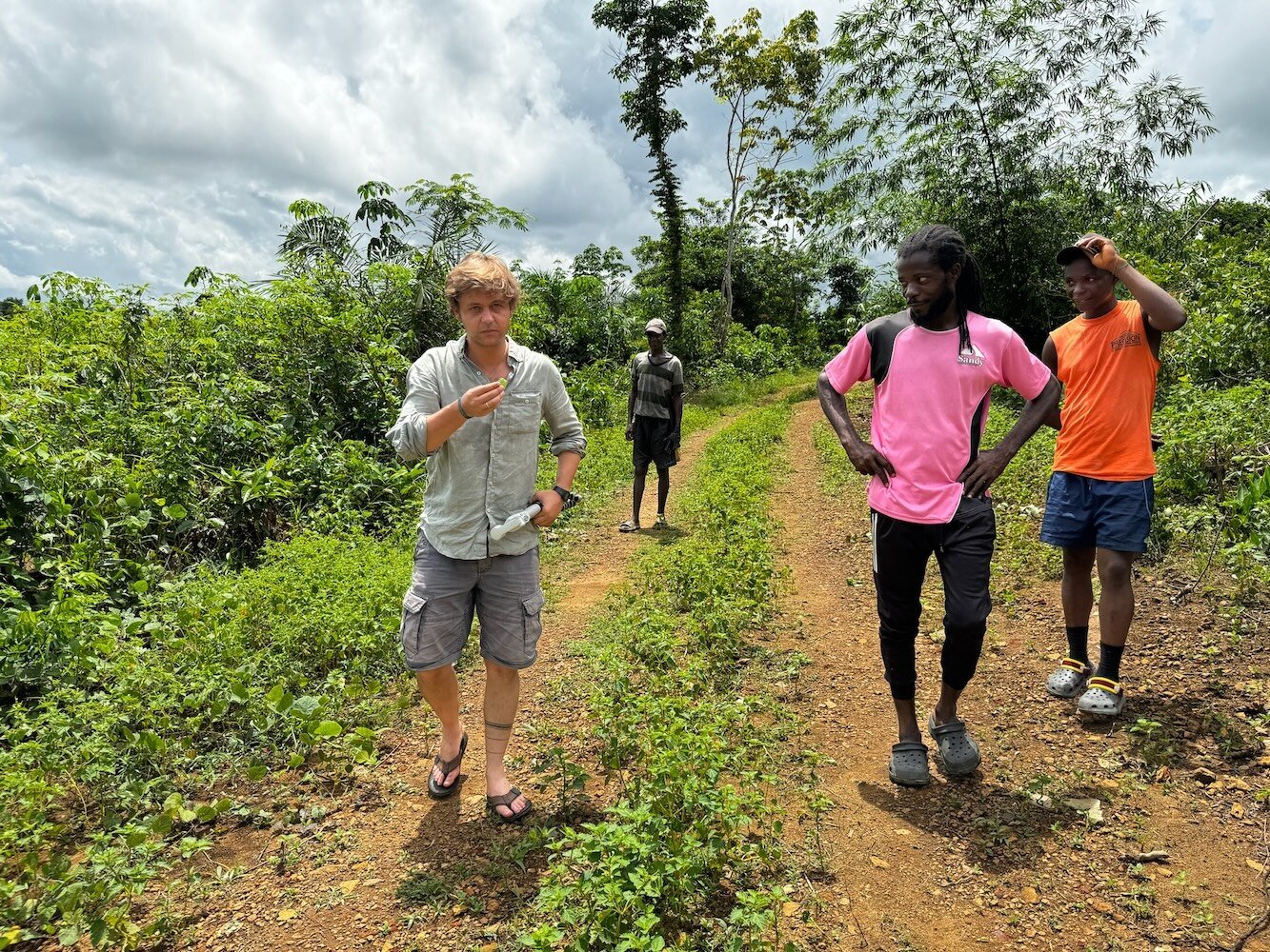 Walking the plantation trails